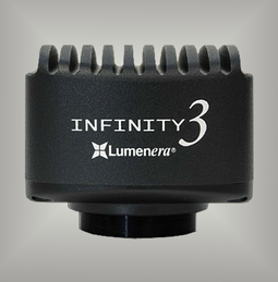 Lumenera Infinity 3-1URF fluorescence CCD digital microscope research camera  3-1URFC,  3-1URFM, fluorescence bundle